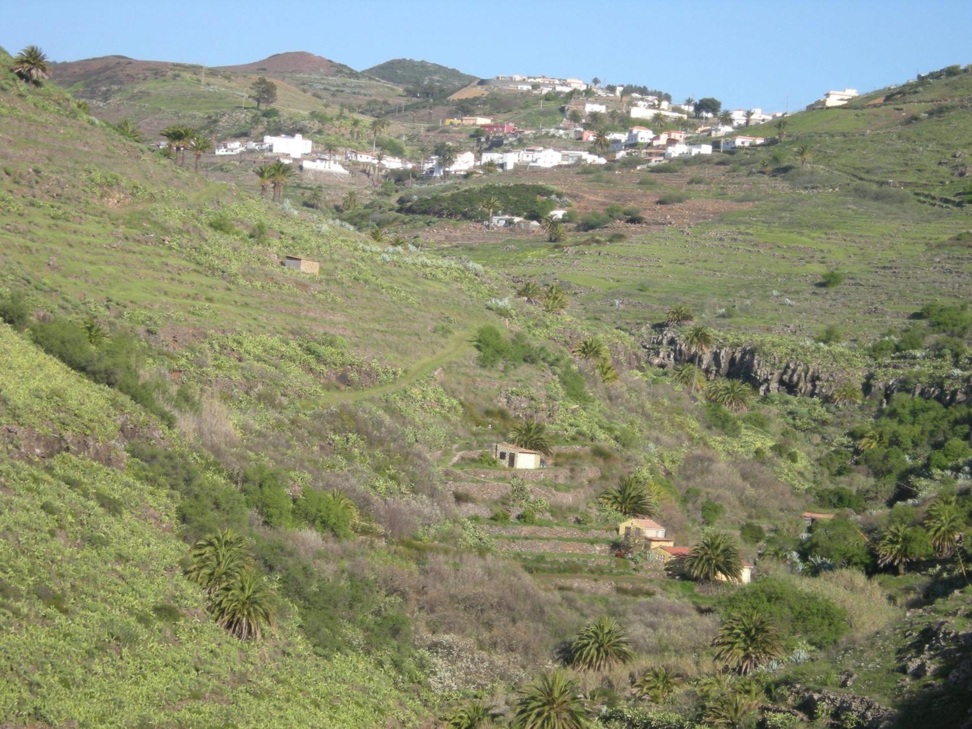 La Hoya Del Cura Lägenhet Valle Gran Rey Exteriör bild